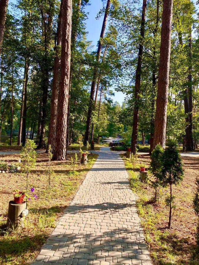 Resort Stariy Prud Pylypovychi Exterior photo